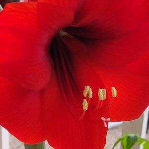 Meet your Posher, @shopas